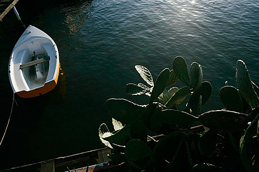 意大利海边的小船和植物