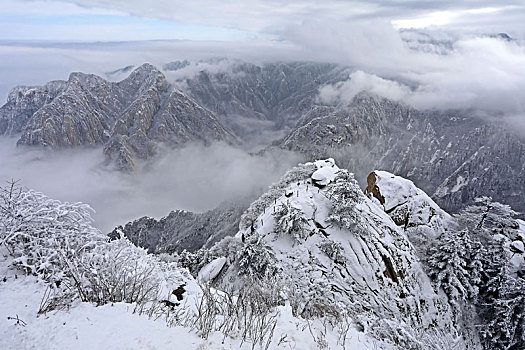 雪后华山宛如画