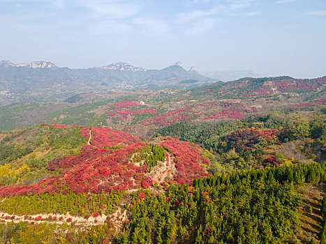 航拍济南南部山区秋色