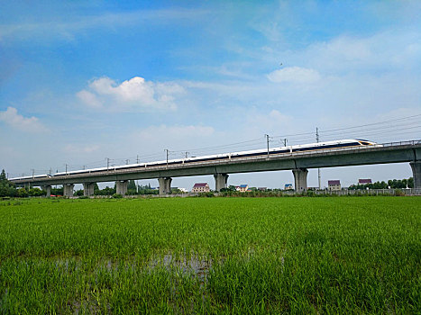 高铁,中国高铁,田园风光