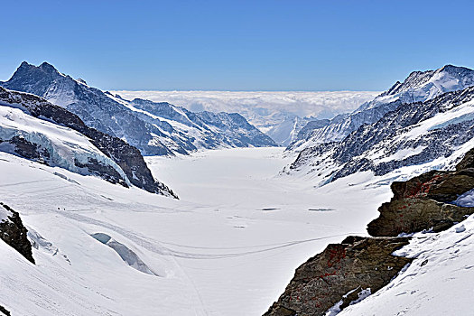 冰河,雪,风景,少女峰,瓦莱州,瑞士,欧洲