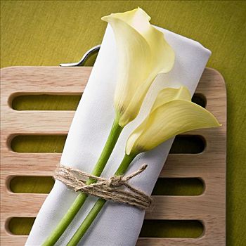 餐巾,花
