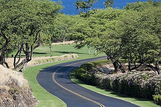 道路,夏威夷大岛,夏威夷,美国