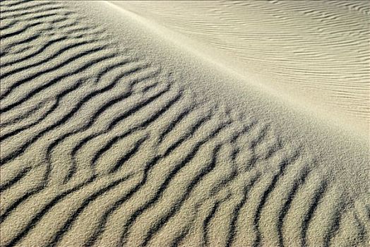 沙丘,海洋,丹麦