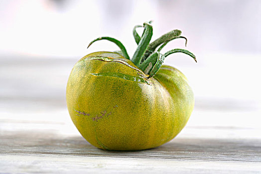 常绿植物,西红柿