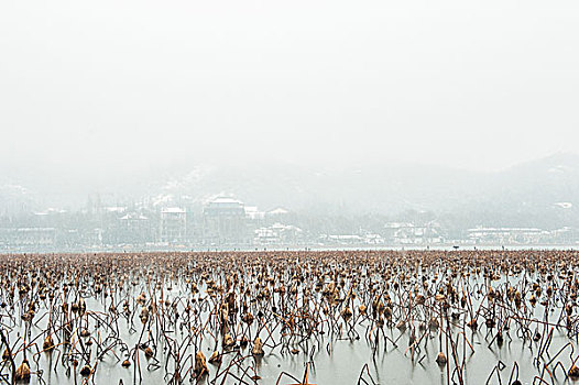 杭州西湖雪