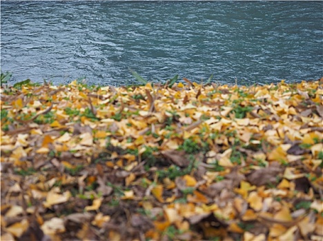 河岸,秋天
