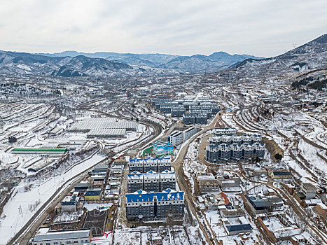 济南彩西路雪景雾凇