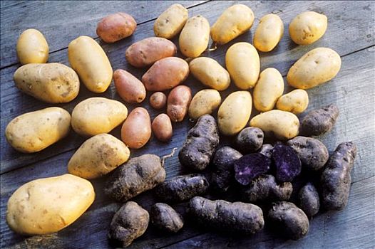 多样,品种,土豆