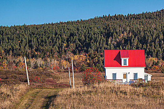 加拿大,魁北克,加斯佩半岛,农舍,秋天
