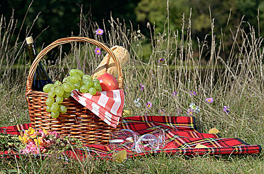 野餐篮,水果,葡萄酒,面包