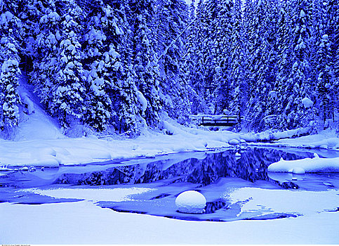 幽鹤国家公园,冬天,不列颠哥伦比亚省,加拿大