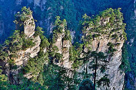 山,五陵塬,地区,风景,许多,顶峰,展示