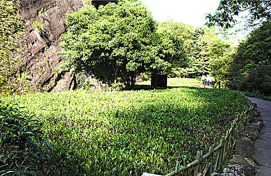 福建南平,大红袍原产地----九龙窠景色幽美