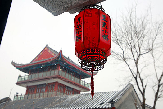 元宵佳节遇瑞雪,雪中美景醉游人