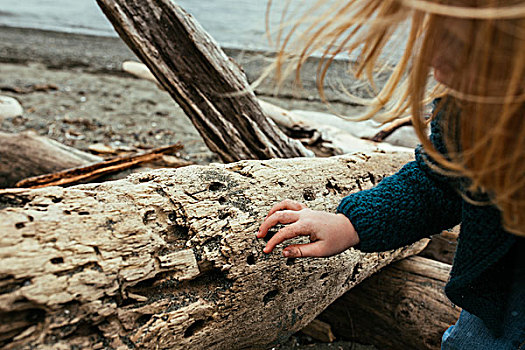 小女孩,金发,检查,浮木,海滩