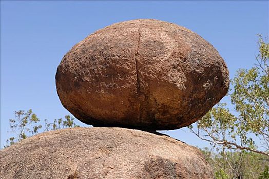 蛋形,石头,靠近,松树,溪流,北领地州,澳大利亚