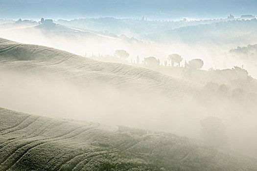 特色,托斯卡纳,风景,早晨,雾,靠近,圣奎里克,锡耶纳,地区,意大利