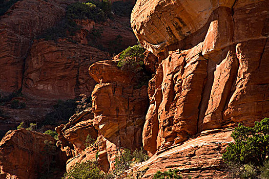 峡谷,特写,红岩,国家森林,塞多纳,亚利桑那,美国