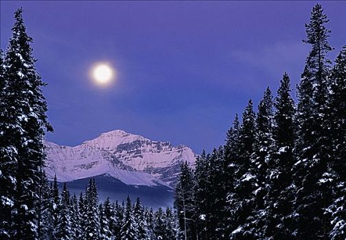 满月,上方,山峦,冬天,班芙国家公园,艾伯塔省,加拿大