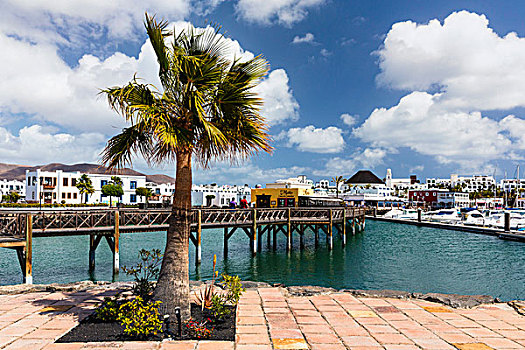 风景,码头,普拉亚布兰卡,兰索罗特岛,加纳利群岛