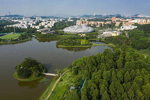 大学城中心湖公园图片图片