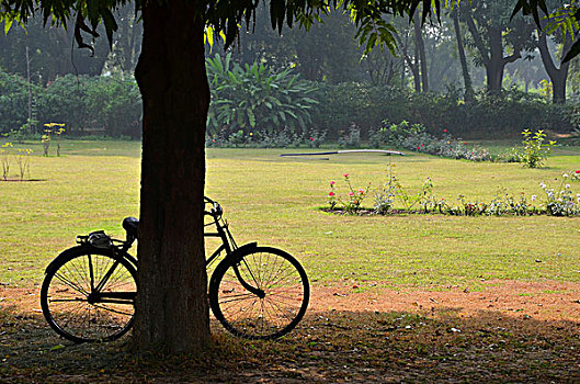 自行车,停放,树,考古,场所,古老,大学,纳兰达佛学院,比哈尔邦,印度,亚洲