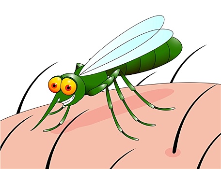 蚊子,卡通