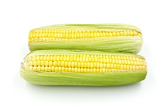 新鲜,玉米,隔绝,白色背景,背景