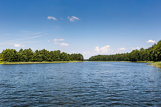 湖,国家公园,波兰