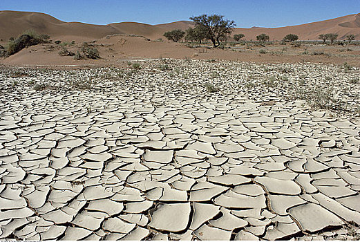 缝隙,泥,纳米比亚,南非