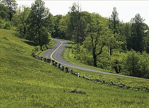 驼背,石头,蓝脊公园大道,弗吉尼亚,美国