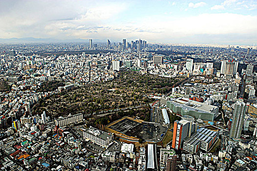 城市,东京,山,日本