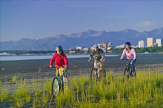家庭,骑,自行车,海滩,靠近,沿岸,小路,阿拉斯加,夏天