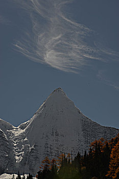 雪山蓝天秋天小道