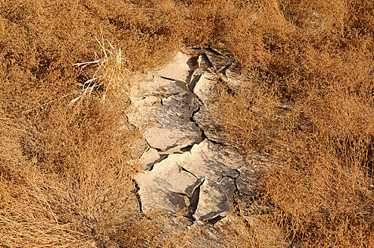 干燥,河床,缝隙,土地,达马拉兰,纳米比亚,非洲