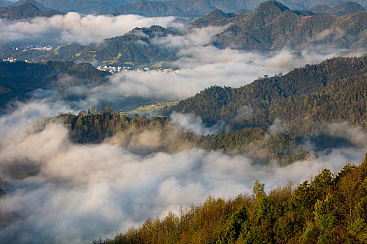 石潭,云海,安徽,山沟,油菜花,风光,壮观,气候,环境,仙境,诱惑,秀美,俯瞰,村庄