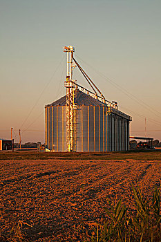 谷仓,设施,存储,稻米,玉米,大豆,英格兰,阿肯色州,美国