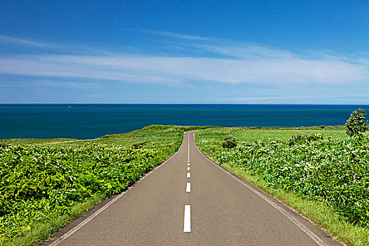 道路,海洋