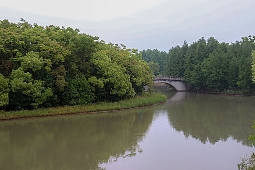 海湾森林公园