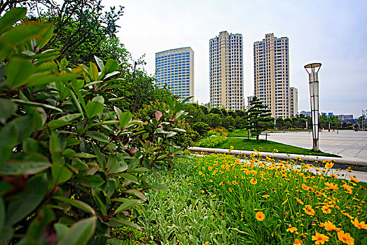 宁海,高楼,绿化,建筑,城市,生态