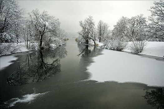 湾流,科赫尔湖,冬天,巴伐利亚,德国