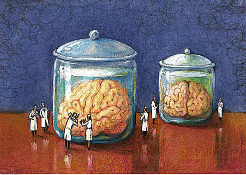 插画,科学家,看,巨大,大脑