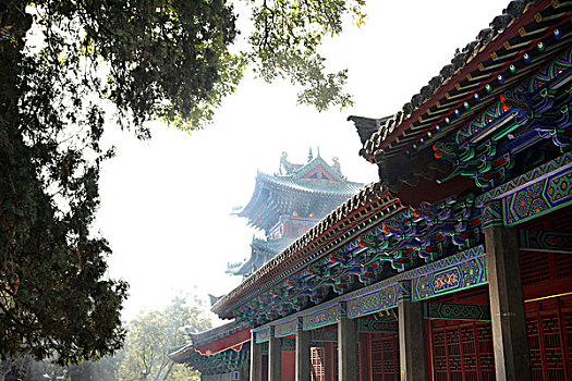 中国,彩色,庙宇,阳光