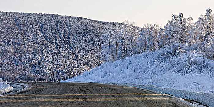 道路,通过,积雪,风景,阿拉斯加公路,北方,落基山脉,地区性,市区,不列颠哥伦比亚省,加拿大