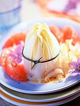 菊苣,水果布丁