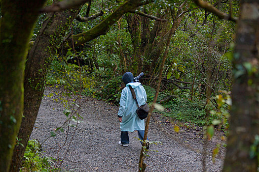 森林步道扛着摄影器材的摄影师
