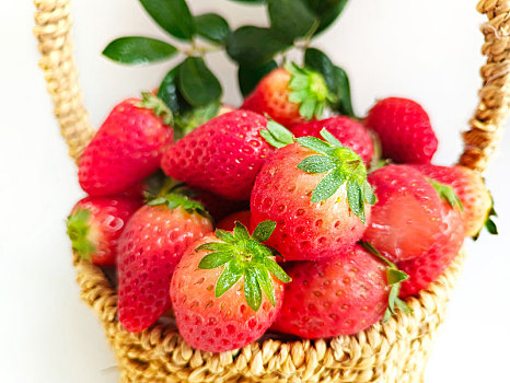 草莓,鲜草莓