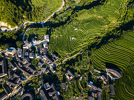 航拍中国福建初溪客家土楼群