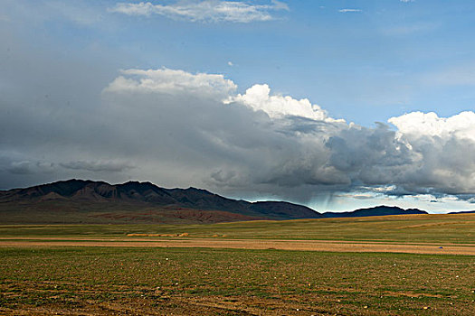 西藏那曲地区牧场